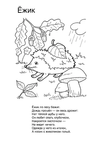 раскраска еж