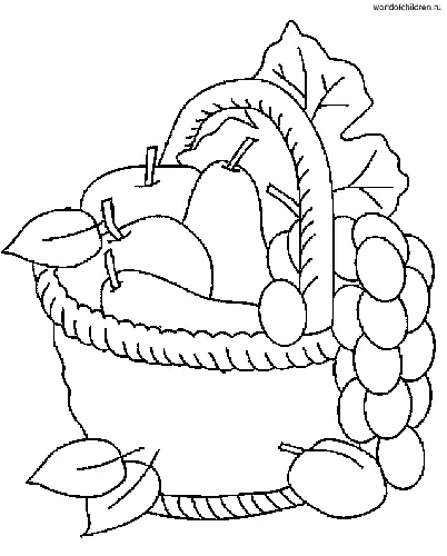 раскраска корзина с фруктами