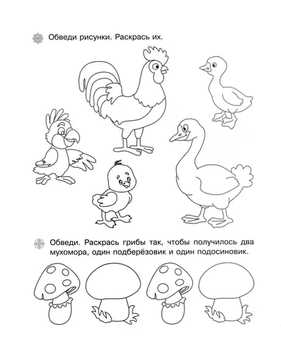 Обведи птиц и грибы. Раскрась по заданию