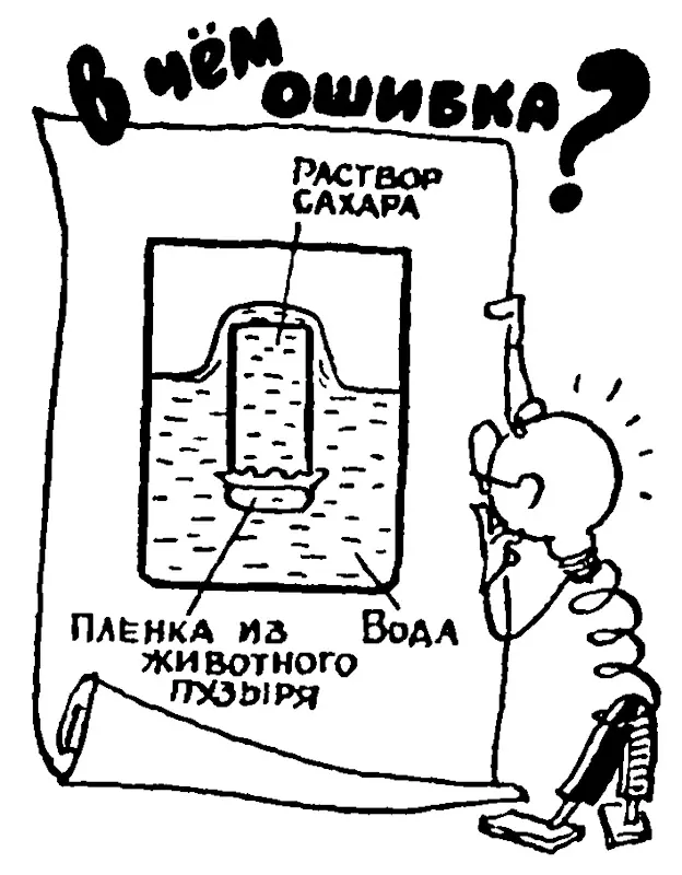Физическая викторина. Теплота и молекулярная физика. Молекулярные силы в жидкостях