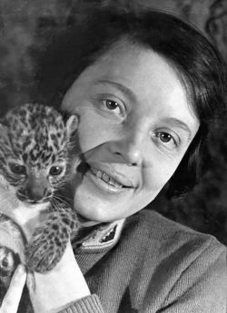 Чаплина В. В.